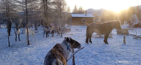 Развлечение на стойбище и дорога до Оймякона
4 день: 27 марта 2026 г.